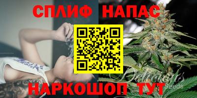 spice Камышлов