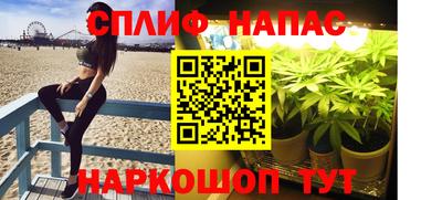 spice Камышлов