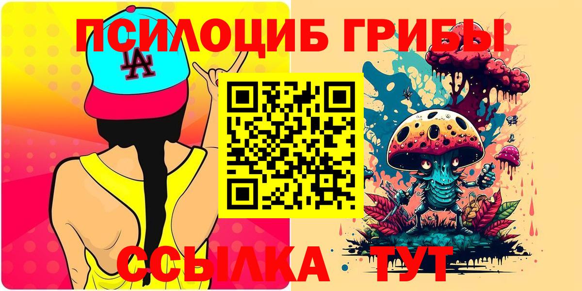 Ленинск-Кузнецкий  Псилоцибиновые грибы Psilocybe  Галлюциногенные грибы прущие грибы  Вход с VPN 