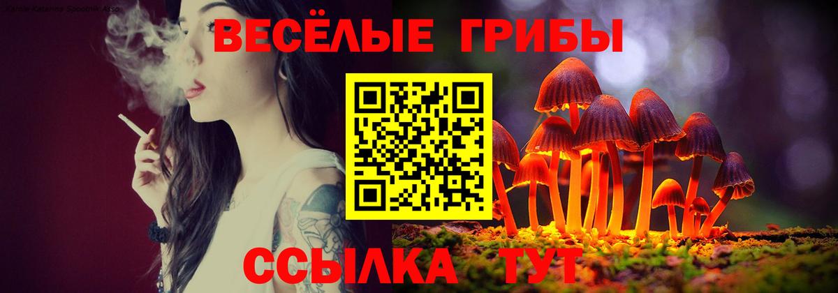 Псилоцибиновые грибы GOLDEN TEACHER Ленинск-Кузнецкий